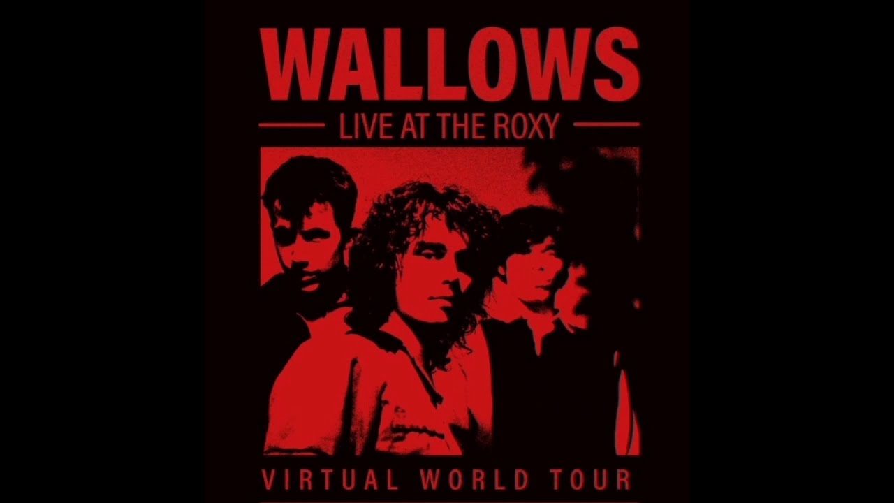 Wallows - Do Not Wait // Live At The Roxy