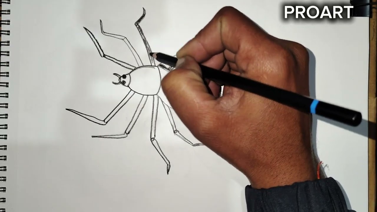 How to make spider drawing with pencil, spider drawing only 5 MINUTES, drawing acedmy for beginners 