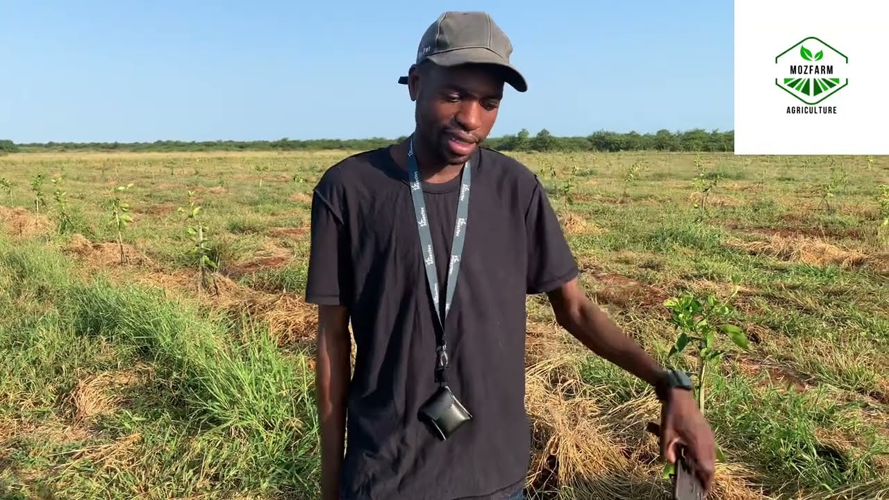 5 ferramentas essenciais para o agrônomo (todo agrônomo deve ter)