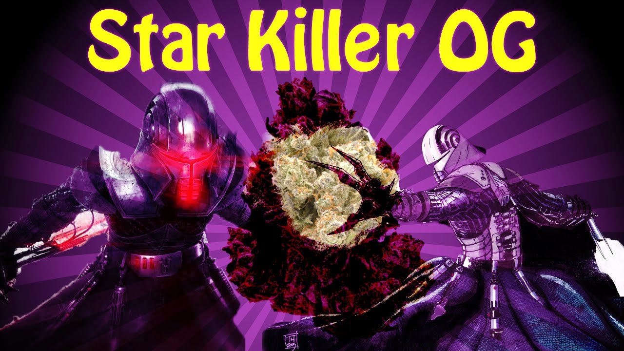 Rare Dankness Star Killer OG | Abusive OG Bubble Hash @trichomeheavyextracts7715