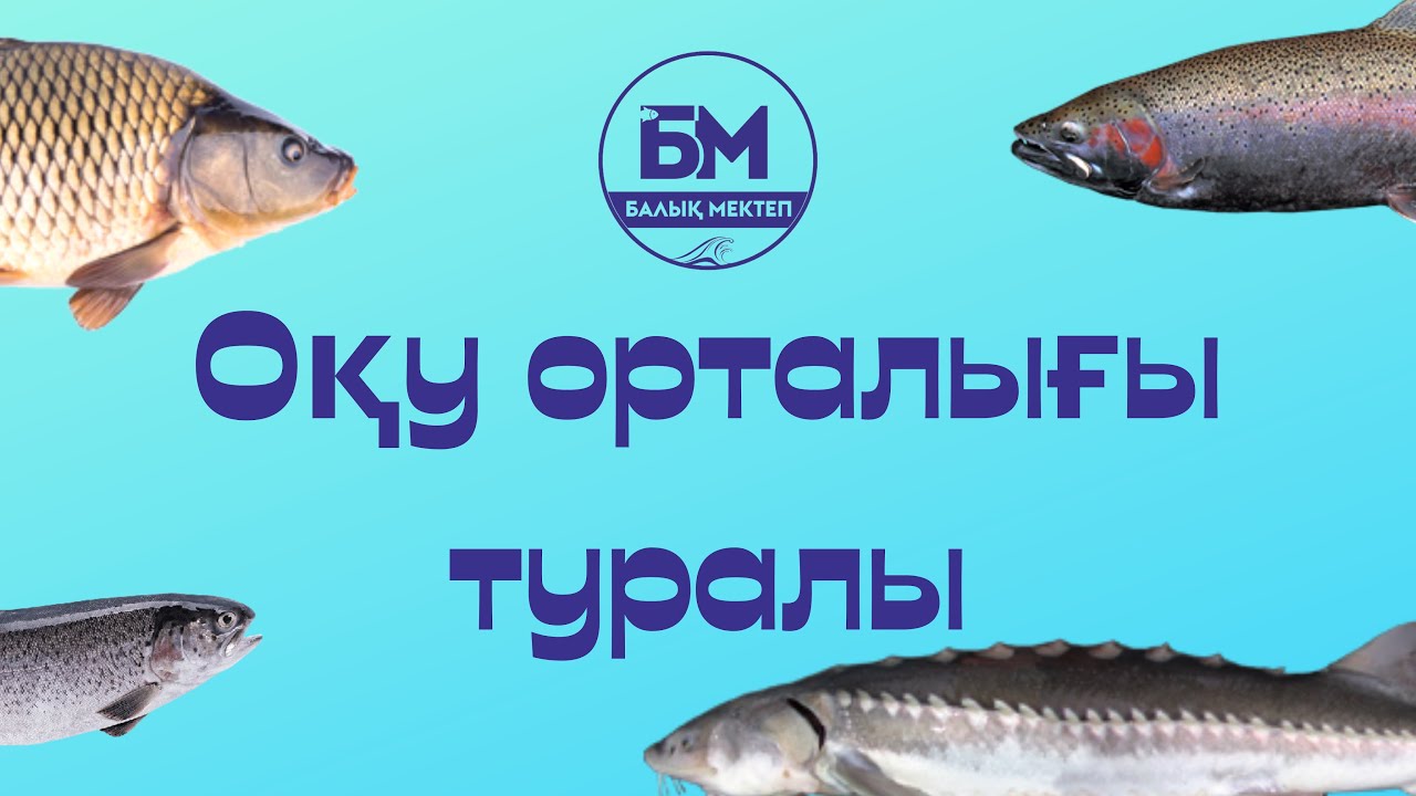 Балық Мектепте қонақта 