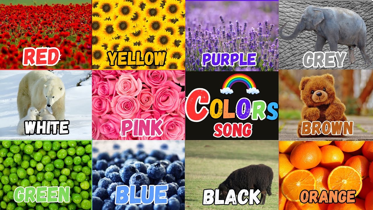 This is Red the Colour Red | Color Song for Kids | Nursery Rhymes and Kids Song | Learn Color
