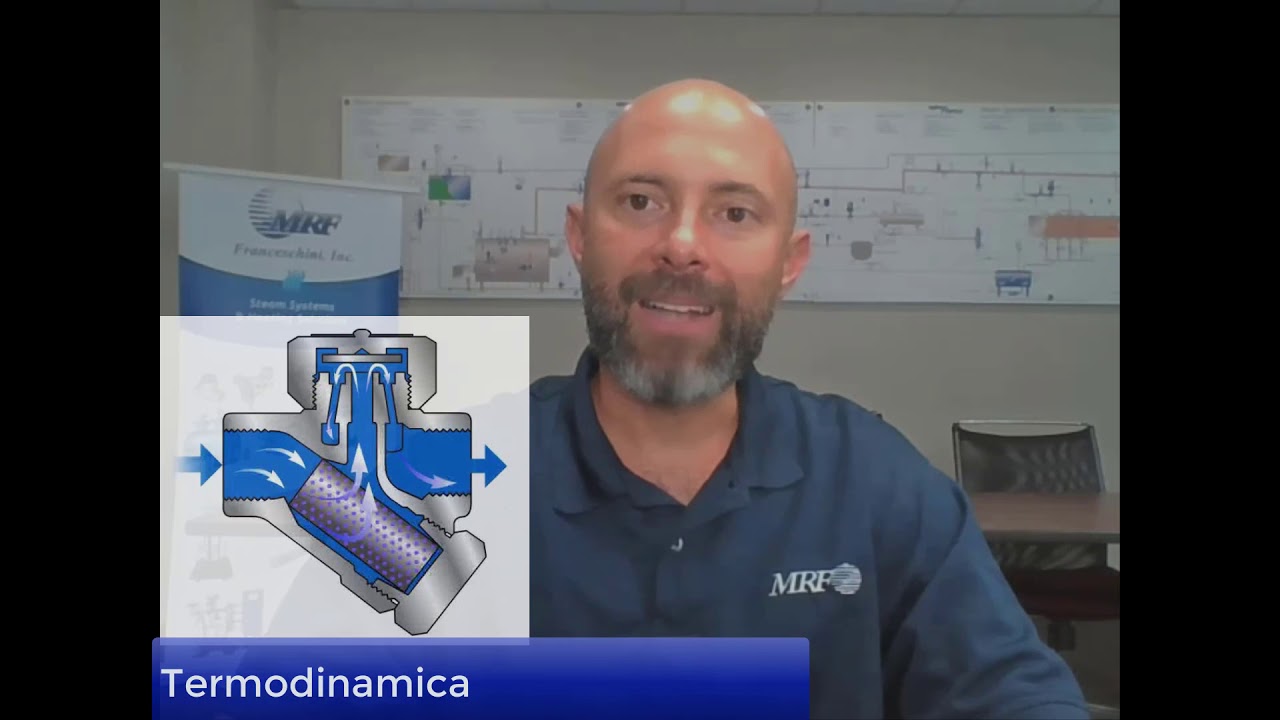 Trampas de Vapor 101