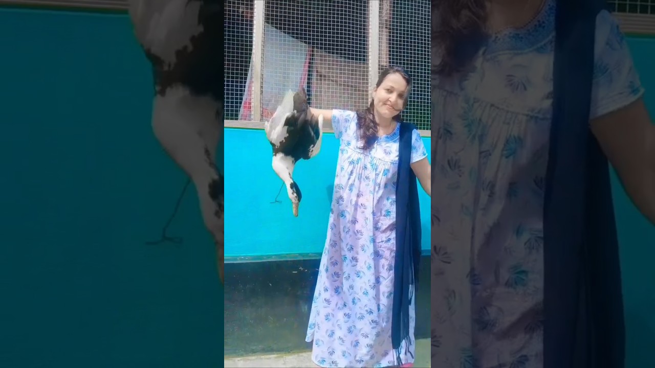 হাঁহৰ মাংস /Duck Curry In Assamese 