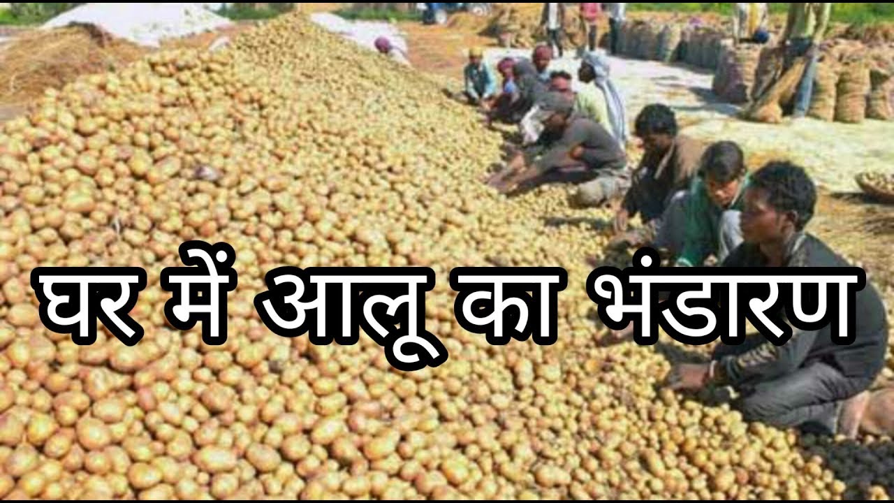 घर में आलू का भंडारण/आलू को ज्यादा समय तक रखने का विकल्प/Potato storage in home