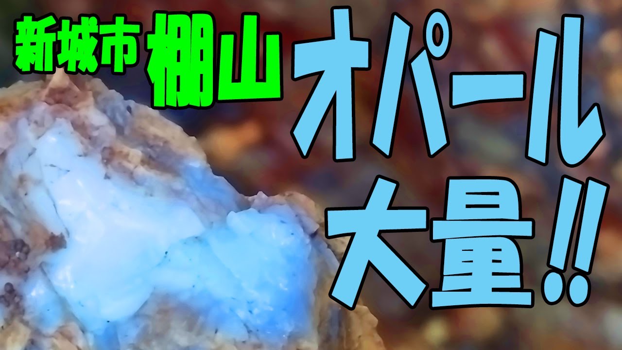オパールがいっぱい‼【愛知県 新城市･棚山】黒曜石そっくり⁉松脂岩も無限にあります！