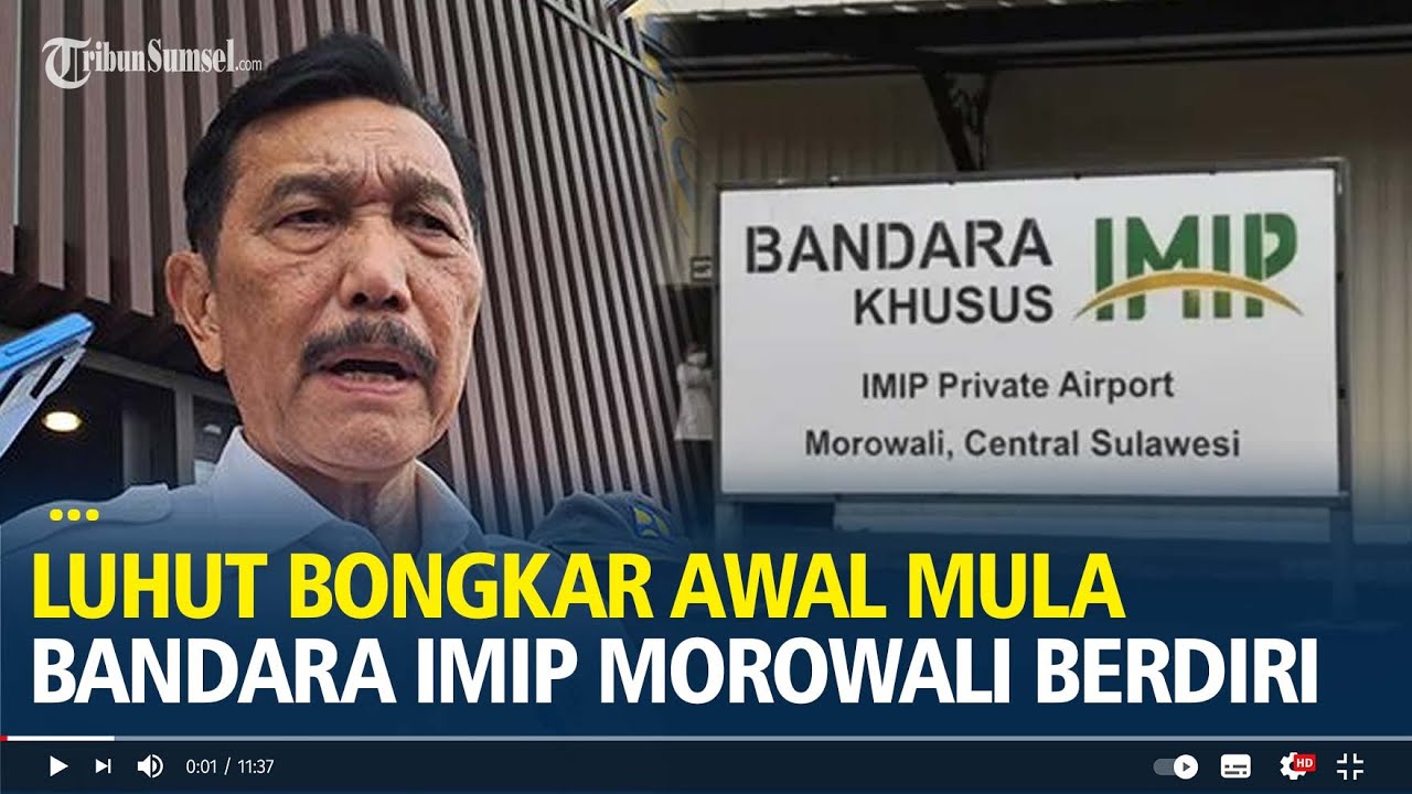 Luhut Bongkar Awal Mula Bandara IMIP Morowali Berdiri, 'Fasilitas Investor Khusus Domestik'