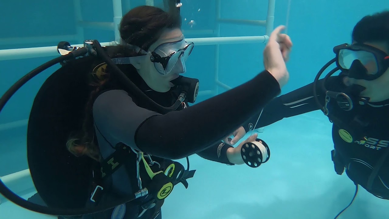 Open water course with Snorkel and Dive Safari Altona Beach