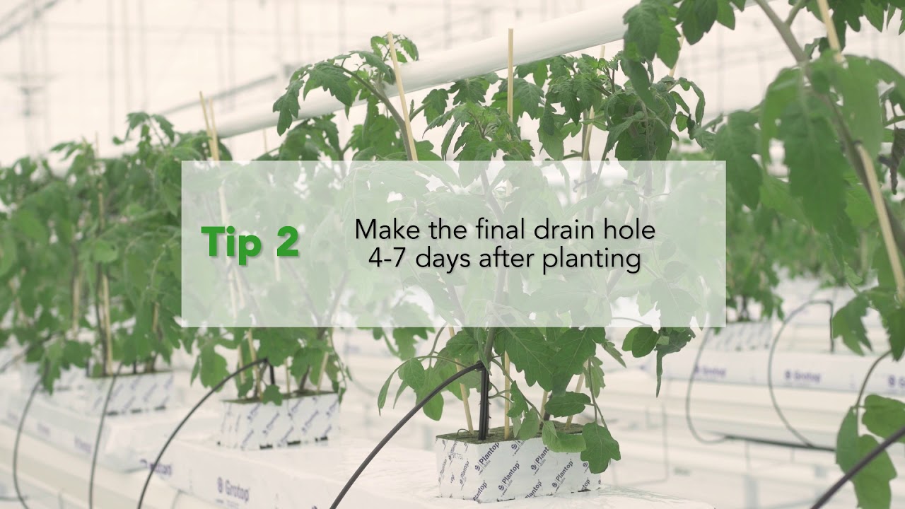 Grodan Instruction Video #2  Creating Drainholes with pre drain