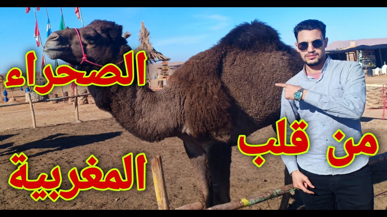جمالية الصحراء المغربية اقليم درعة تفيلالت