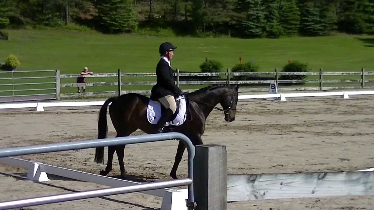Alison Eastman Lawler & Otto Rocket Prelim Dressage