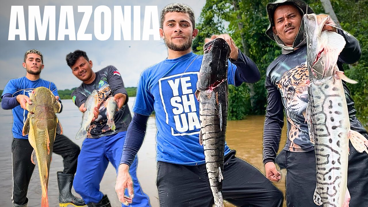 🏕️ PESCARIA DE GRANDE DIVERSIDADE DE PEIXES ,PIRARARA,PIAU,SURUBIM e CAPARARI