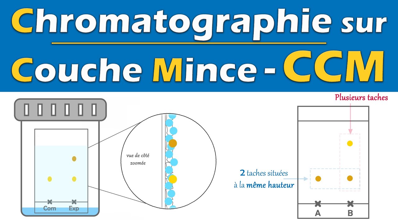 CCM 🧪 Chromatographie sur Couche Mince | Physique Chimie | Lycée
