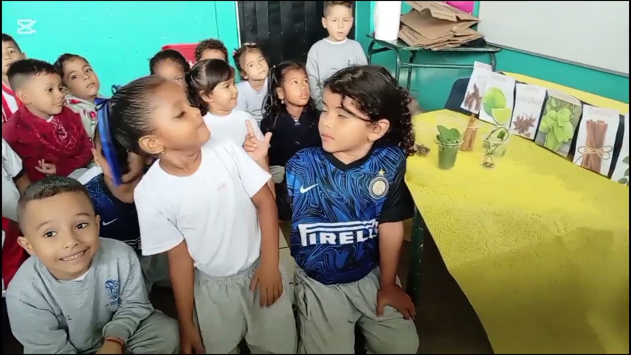 Grupo 13 La integración sensorial en la infancia 