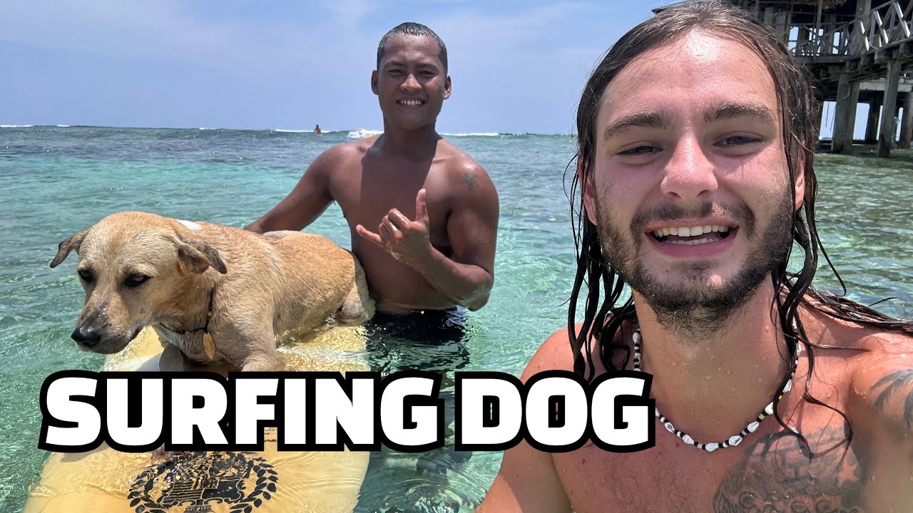 CRAZY Beach Vlog на FAMOUS Surf Island