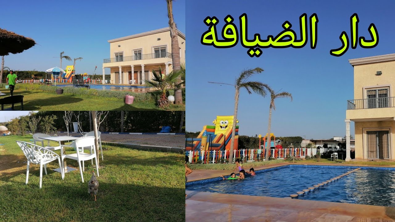 مسبح دار الظيافة البير الجديد نهار يا سلام