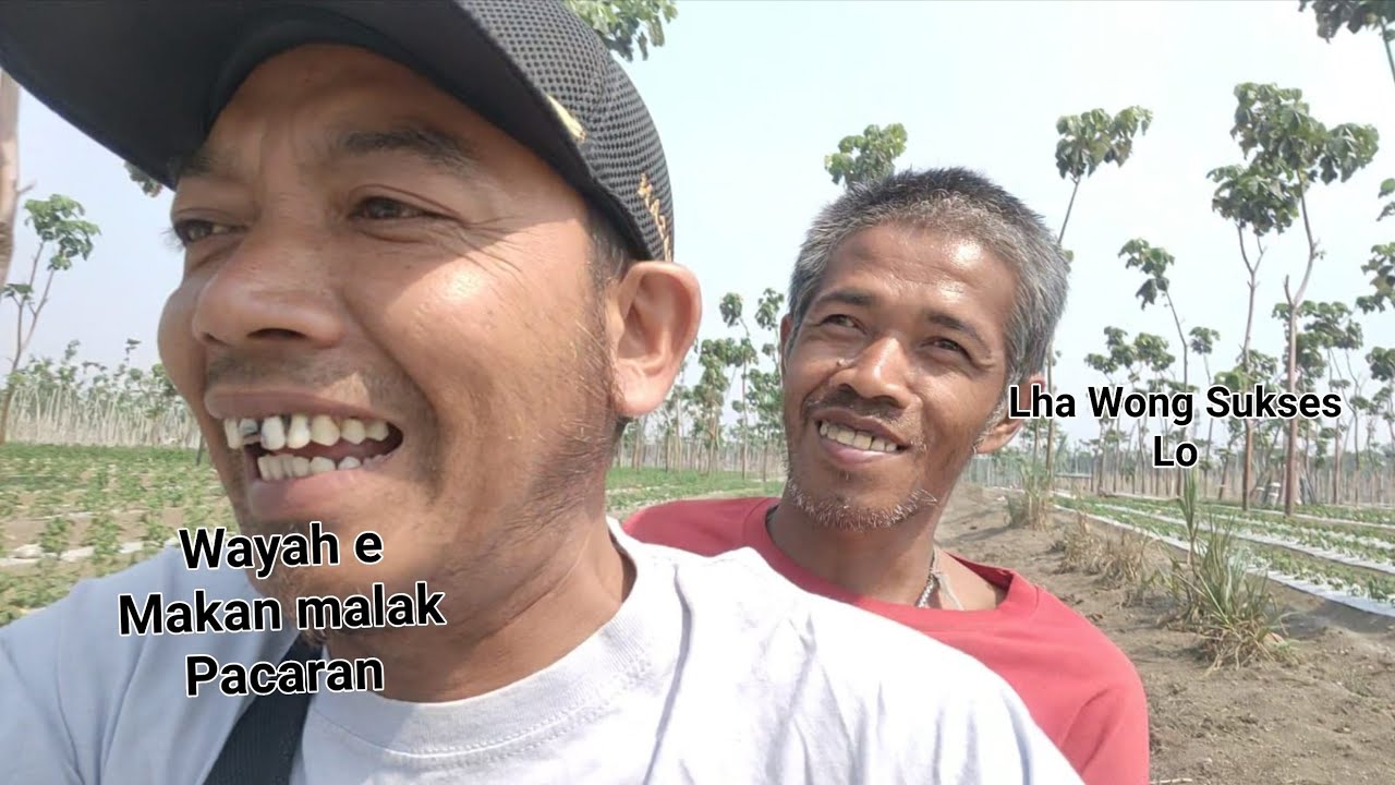 Sampe Dijemput Lagi Pacaran!!!Posyandu ODGJ Warga Wonorejo Puncu