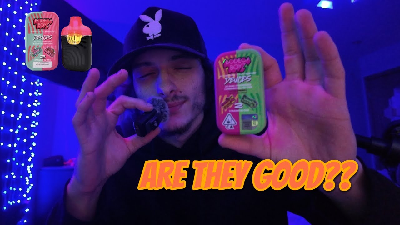 Are they good? Bodega boyz review
