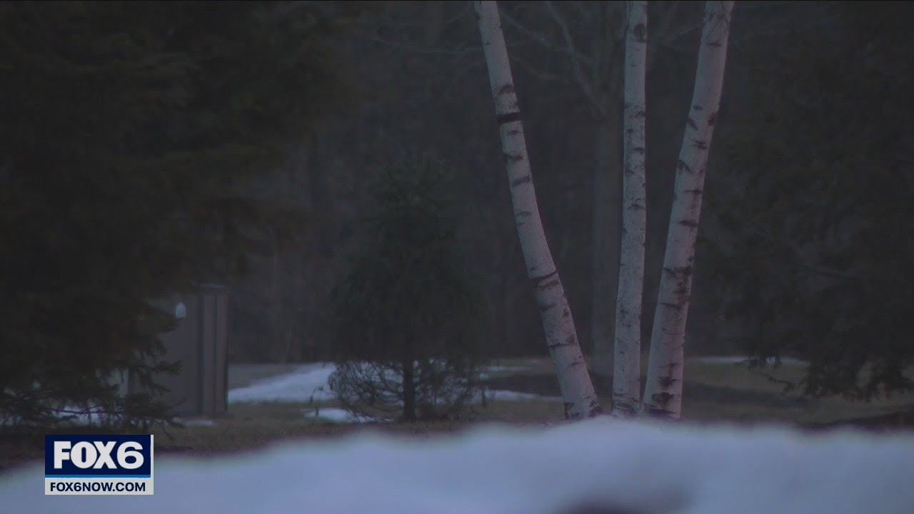 Wauwatosa coyote, turkey trouble; animals trapped, killed | FOX6 News Milwaukee