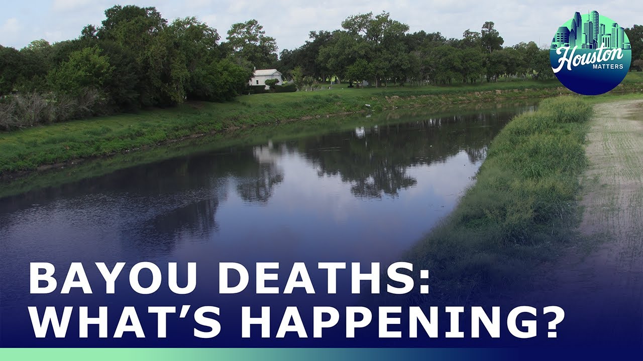 Why Are Bodies Showing Up in Houston Bayous?
