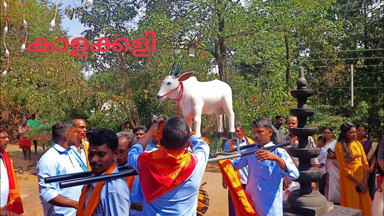 ഇതു ആരുടെ ആരുടെ /Nadanpattu , കാളക്കളി നാടൻപാട്ട്//kalakali//കുന്നത്ത് ശ്രീ രുധിരമാല ഭഗവതി ക്ഷേത്രം