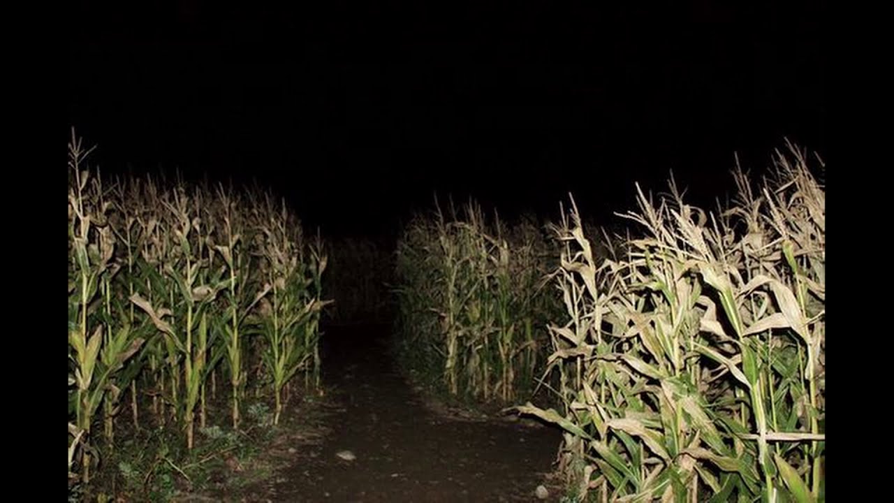 Nyctophobia images with unsettling music (fear of the dark)