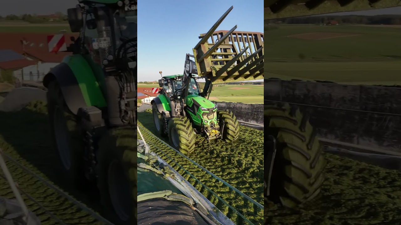 Deutz 7250 Warrior Von @lohnunternehmen_karlkrumm beim walzen #deutz #deutzfahr #Walzen #farming