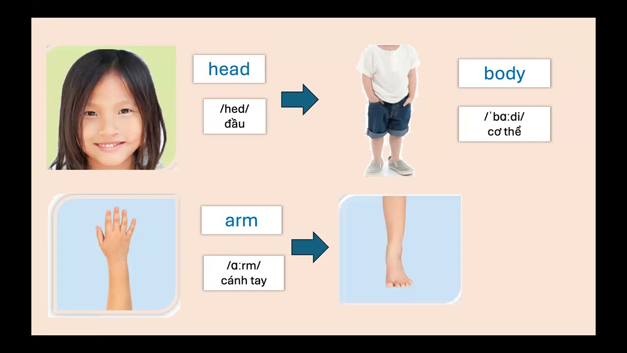Sport&Hobbies (vocab) #grade3 #TinaEnglish