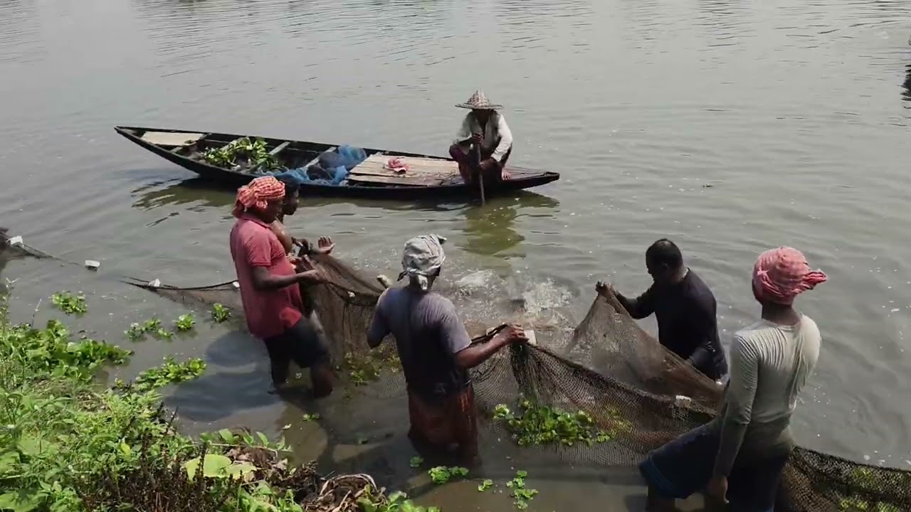 Boro Mach Dhara | মাছ ধরা | Fishing Video 