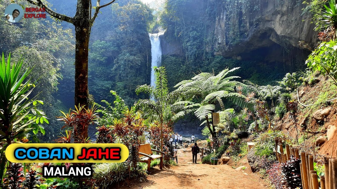 Pesona Coban JAHE Jabung kabupaten Malang