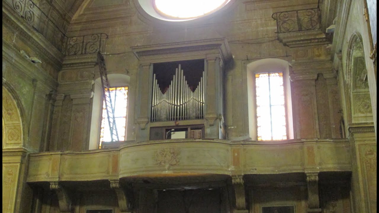 Organic Trip #10 - Genova / B.Galuppi / Anne-Gaëlle Chanon