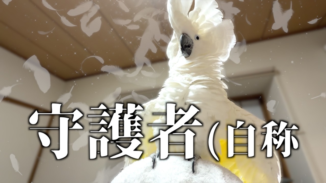 仕事中のママを守るゆきまる氏（自称）
