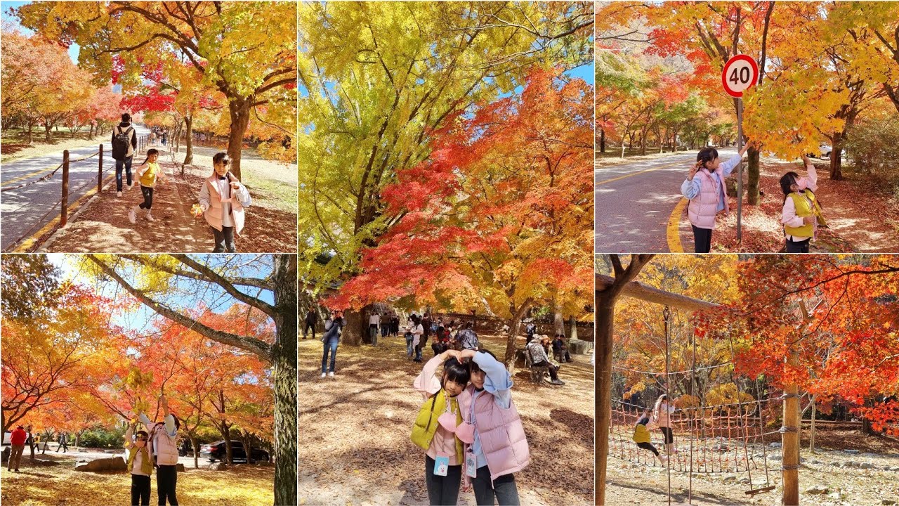 Musim gugur di korea 2022 || Walk Around at Naejangsan ||