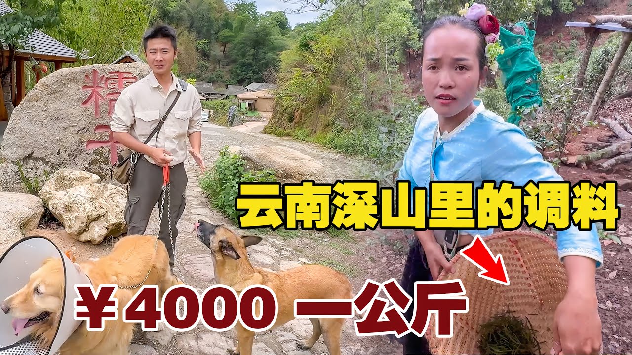 中缅边境原始村落，当地人靠山吃山，黄金一样的食材只是家常便饭【小白的奇幻旅行】