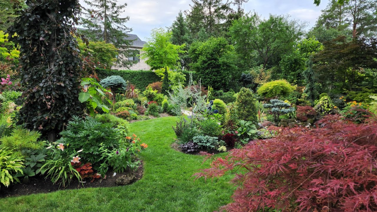 Sophie's Garden 拜访Marion的私家花园, 40多年的辛勤耕耘和积累
