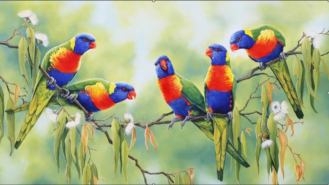 The serenely beautiful Gabriel's Oboe (with birds!) from The Mission by Ennio Morricone, organ cover