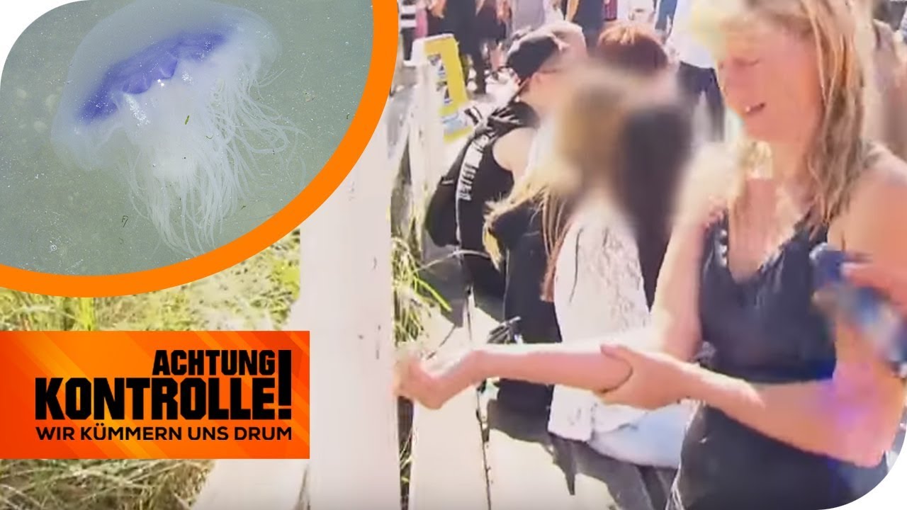 Quallenstich in der Ostsee! Was hilft gegen Schmerzen? DLRG hilft! | Achtung Kontrolle | kabel eins