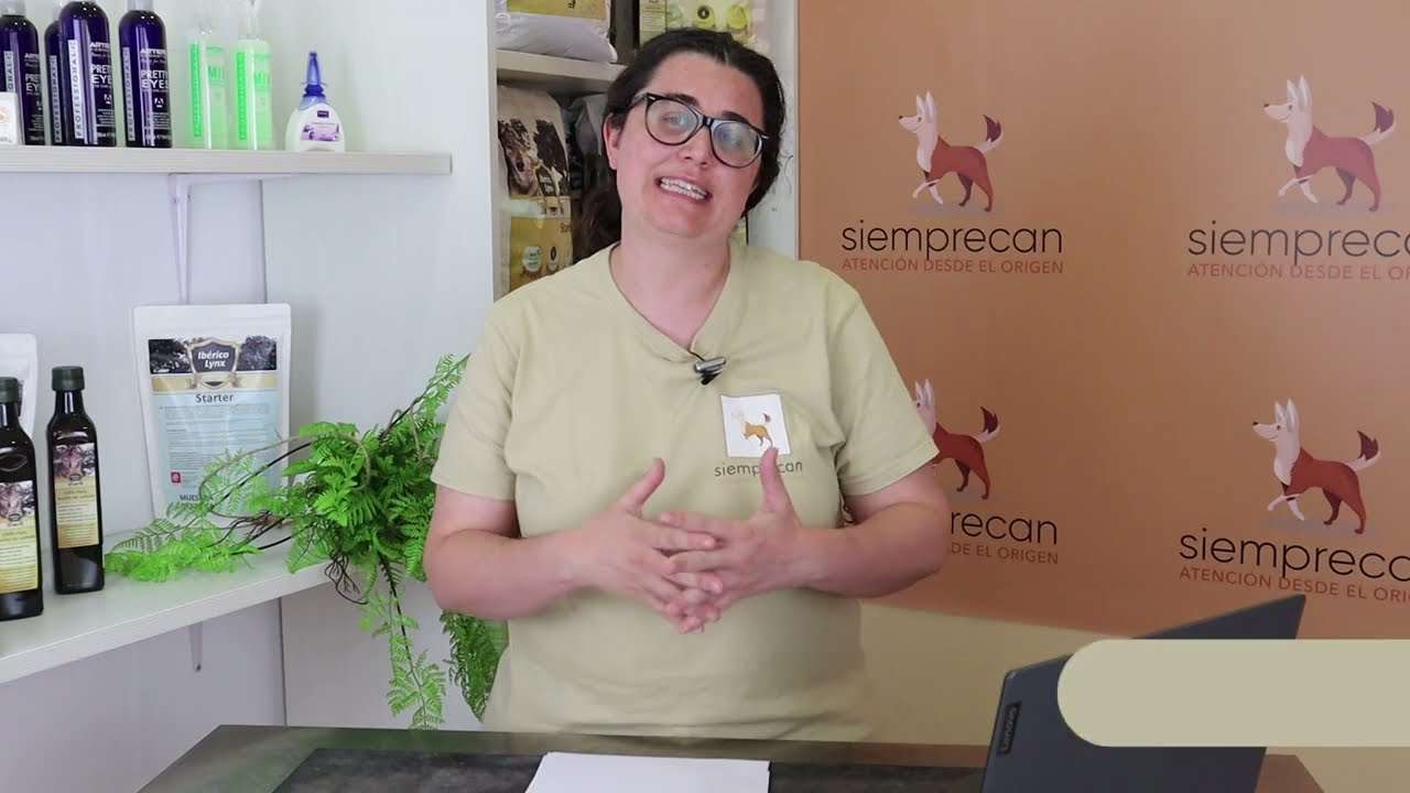 El celo de las perras, ¿Qué es? ¿Cuánto dura?