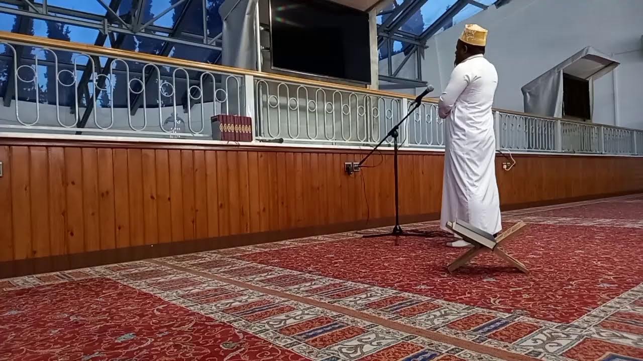 سورة الطور  : آية ١٧ - آية ٢٤