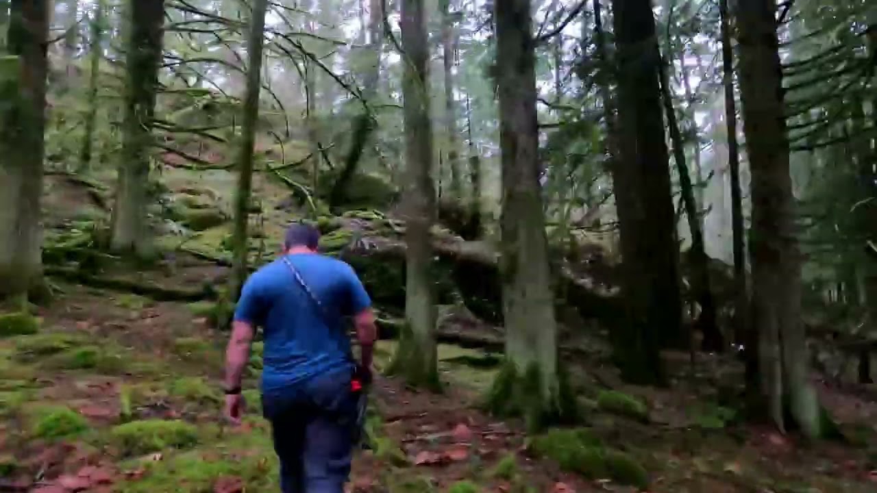 Thetis - Seymour Hill loop