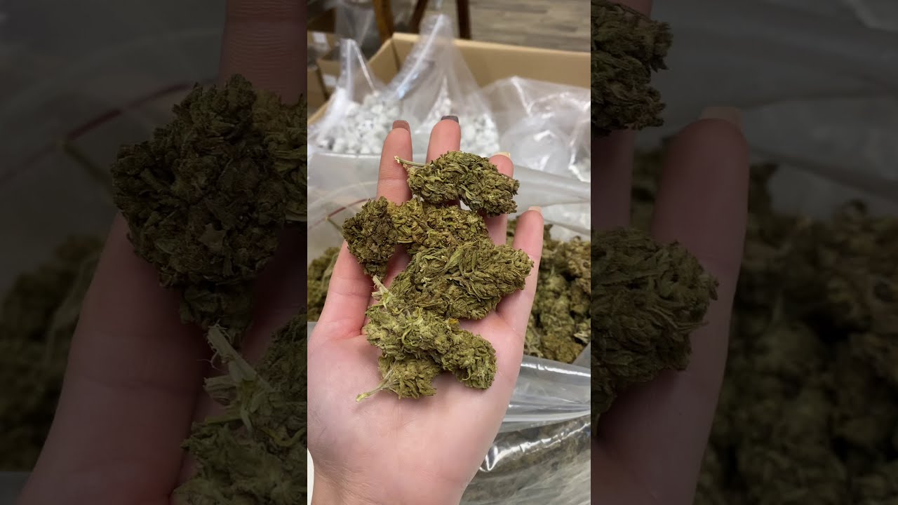 Super Skunk CBD 7% - Outdoor