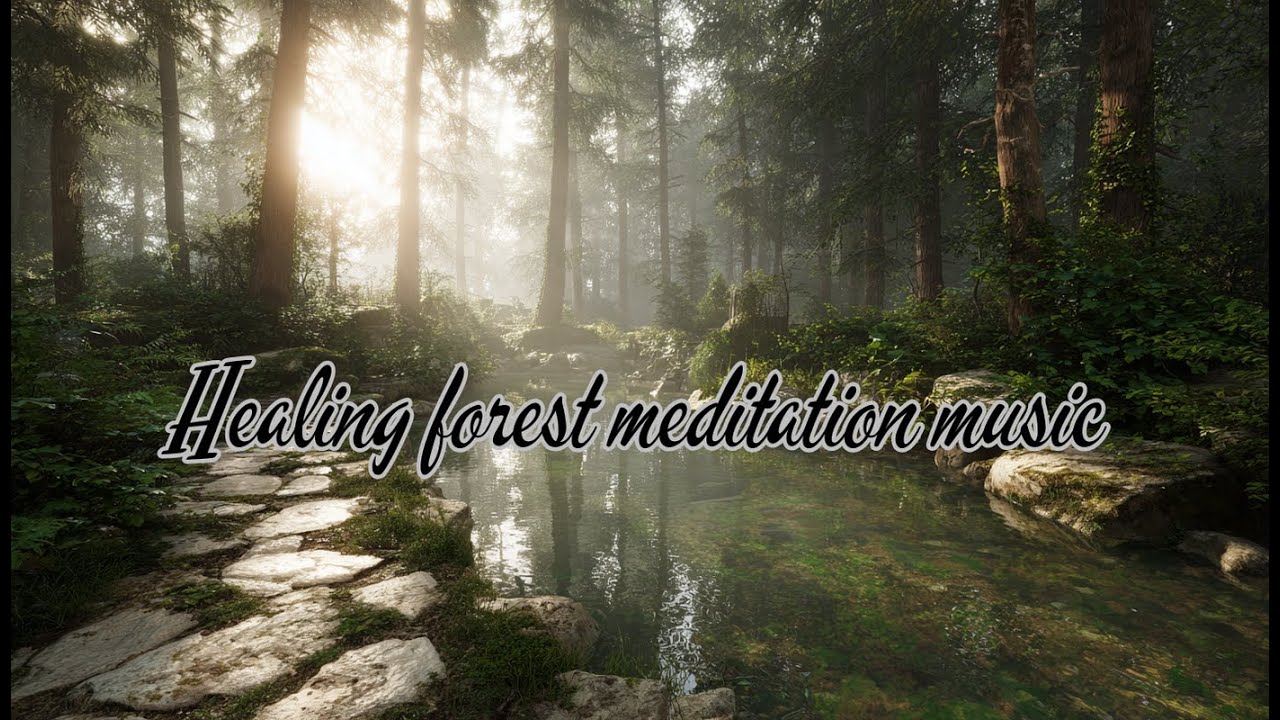 Healing Forest Meditation Music – Deep Relaxation, Chilling Sounds & Inner Balance