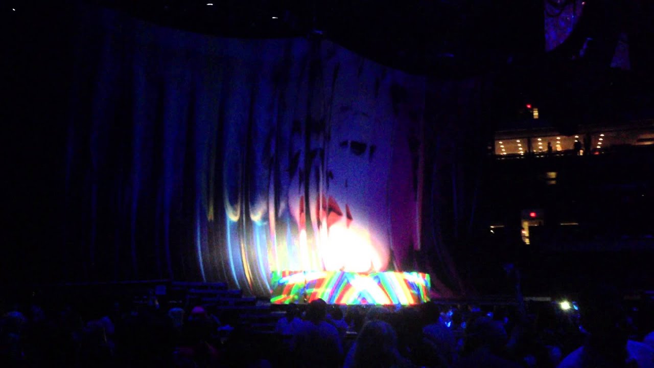 MiSha Skye - Live @ MDNA Tour ( 13 - Epic Vogue)