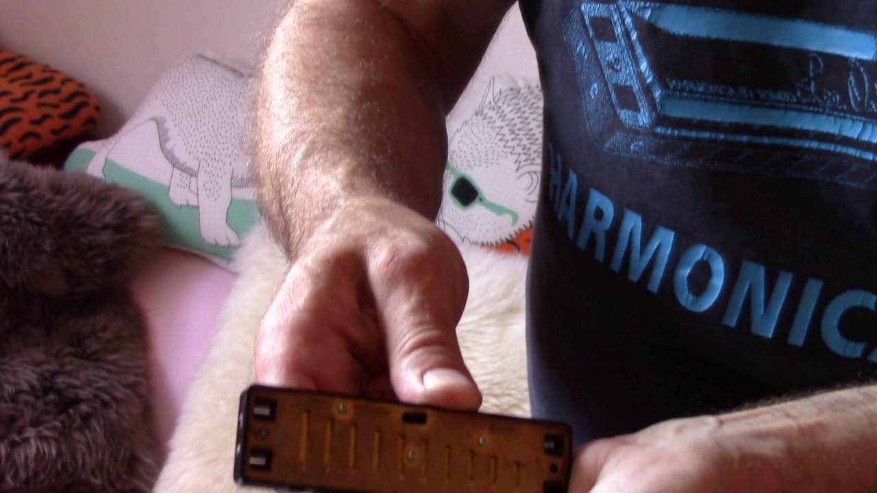 Thomas Hippe Blues Harp - Einstellung der Lösabstände