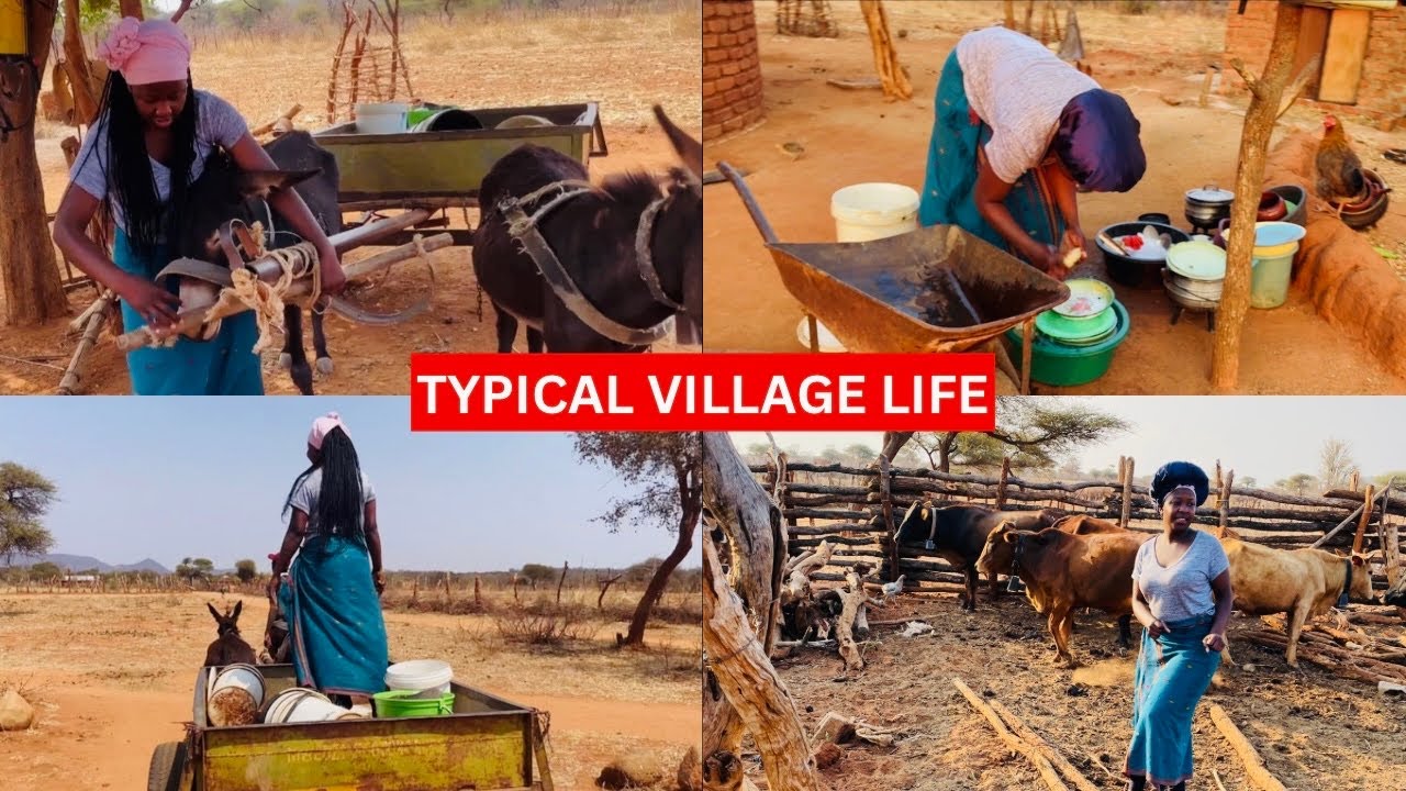 VILLAGE LIFE IN AFRICA | HOW WE FETCH WATER USING A SCOTCH CART | ZIMBABWE VLOG🇿🇼🇿🇼🇿🇼