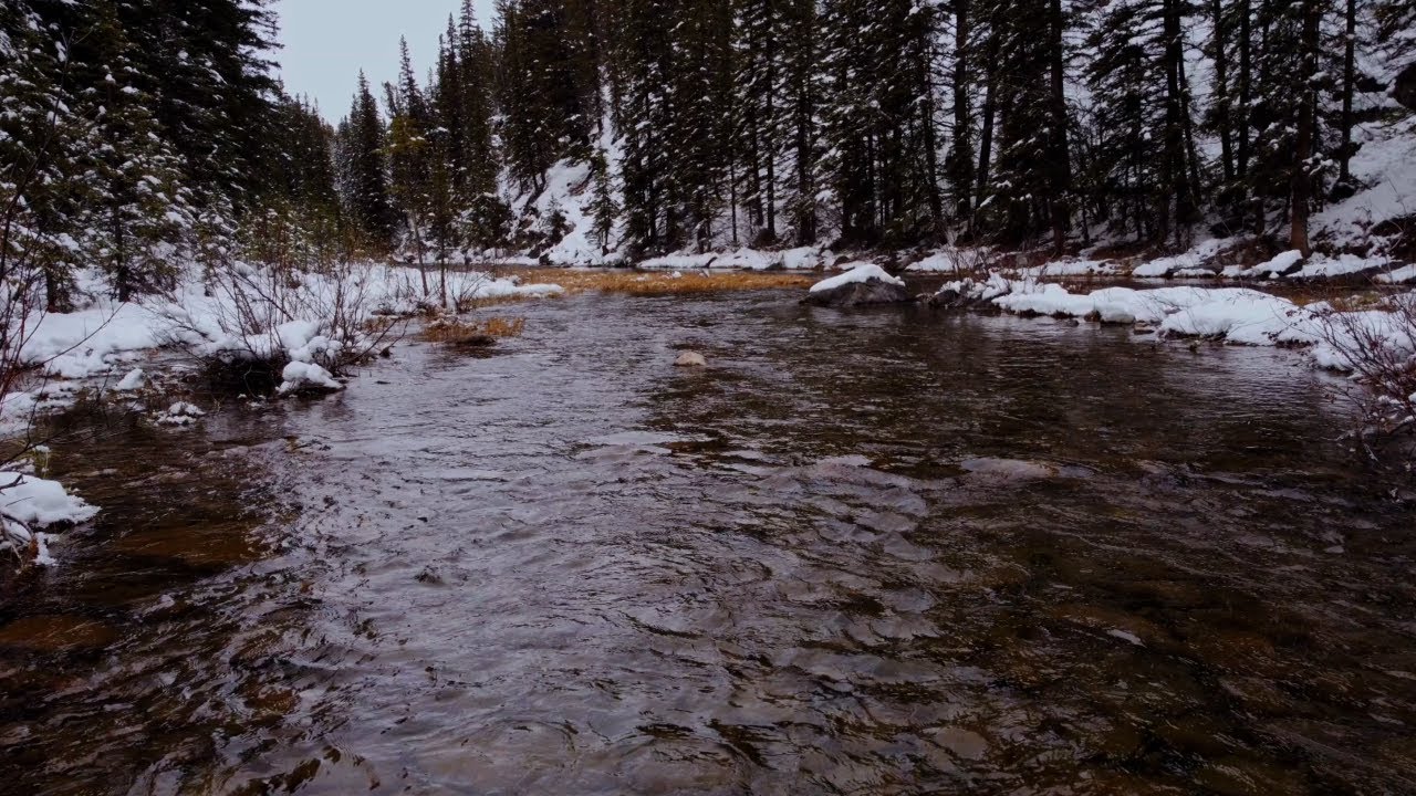 Emotional Pause: Master the Art of Calm Speech