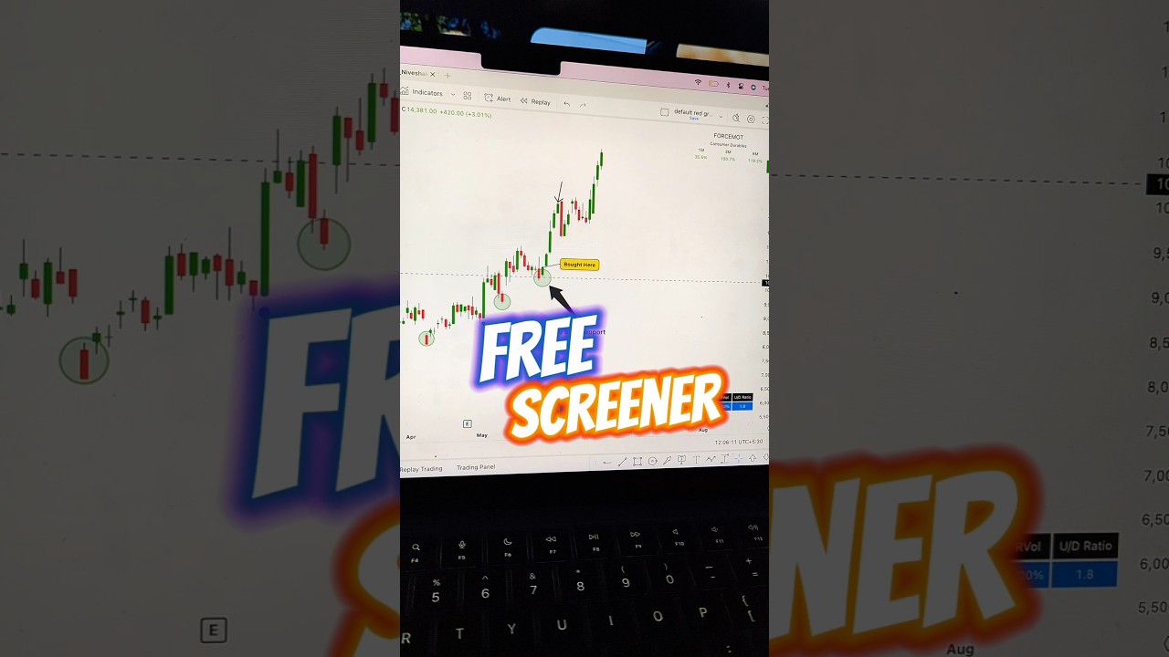 Scan Stocks in 1 Minute For Swing Trading