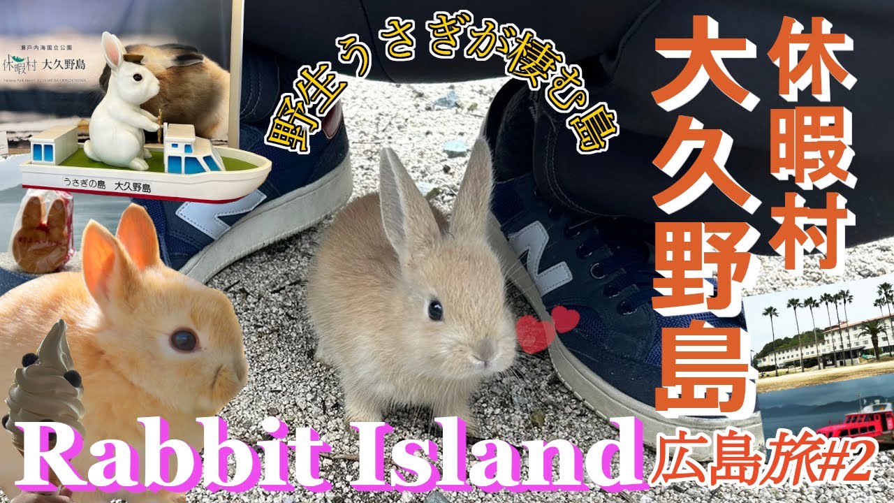 【広島旅#2】可愛い野生うさぎと触れ合える、広島県竹原市にある離島「大久野島」へ行って来ました!この島で、唯一の宿泊施設「休暇村 大久野島」に宿泊してきましたので、ホテルの詳細内容を紹介しています。