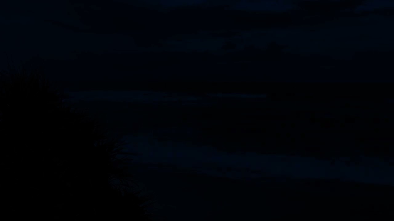 Falling Asleep in Minutes: Slow Rolling Ocean Waves & Steady Sea Sounds for Insomnia Relief