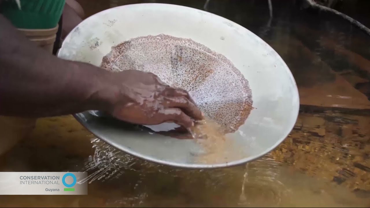 Gold Prospecting in Guyana
